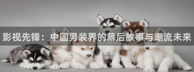 蓝莓视频免费在线看：影视先锋：中国男装界的幕后故事与潮流未来