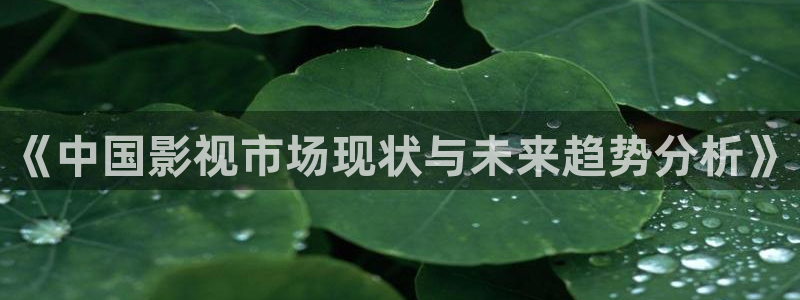 蓝莓视频91：《中国影视市场现状与未来趋势分析》