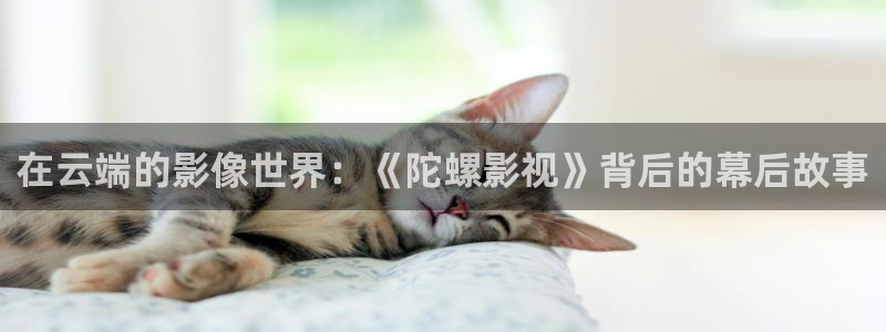 蓝莓视频网页入口：在云端的影像世界：《陀螺影视》背后的幕后故事