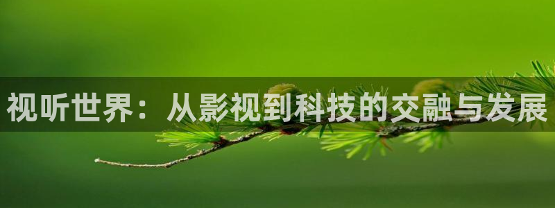蓝莓视频大全集