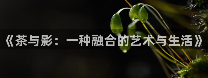 蓝莓视频成人观看版：《茶与影：一种融合的艺术与生活》