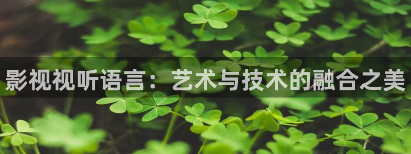 蓝莓视频91：影视视听语言：艺术与技术的融合之美