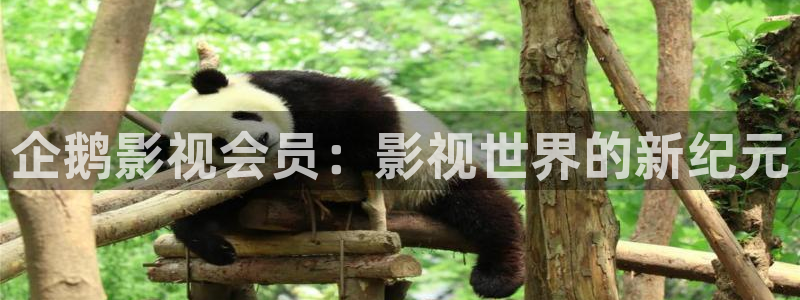 蓝莓管理视频