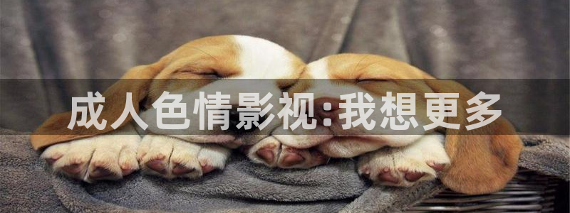 蓝莓视视频：成人色情影视:我想更多
