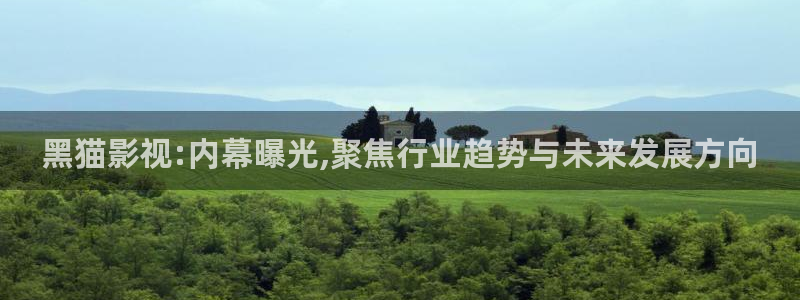 蓝莓直播高清免费